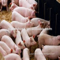 pig feed livestock feed animal feed